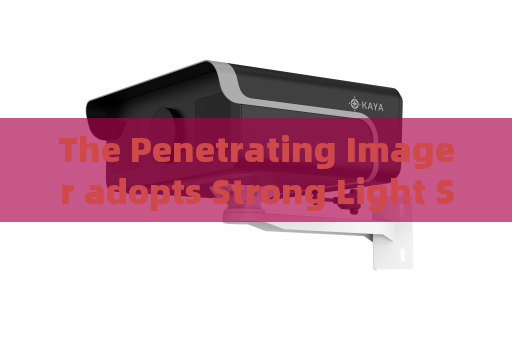 The Penetrating Imager adopts Strong Light Suppression Imaging to handle vehicle inspection under strong roadside lamp glare.