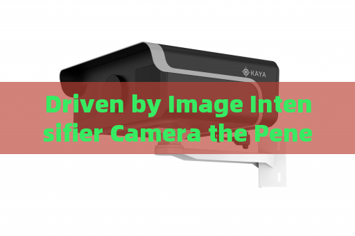 Driven by Image Intensifier Camera the Penetrating Imager supports all-night vehicle checks at military port terminals
