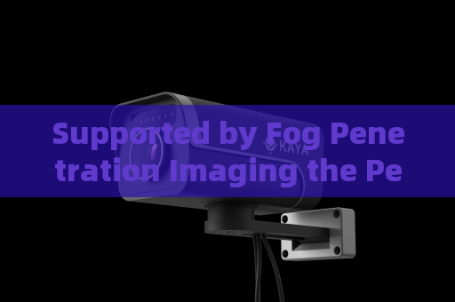 Supported by Fog Penetration Imaging the Penetrating Imager achieves clear vehicle monitoring along damp frontier defense lines