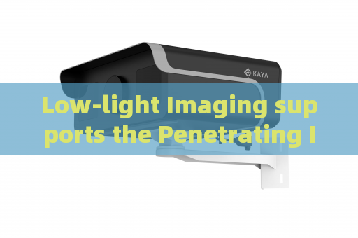 Low-light Imaging supports the Penetrating Imager for SWAT nighttime tactical vehicle reconnaissance