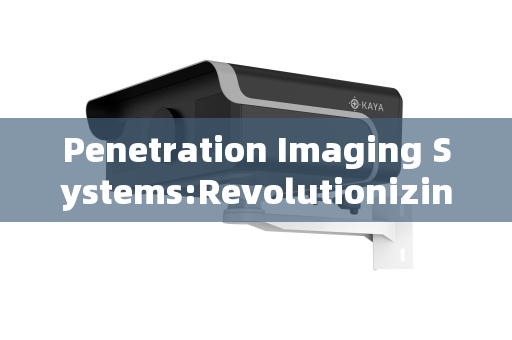 Penetration Imaging Systems:Revolutionizing the Screening and Apprehension of Dangerous Criminals