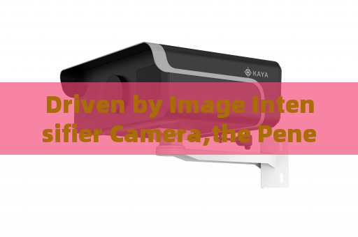 Driven by Image Intensifier Camera,the Penetrating Imager supports all-night vehicle security screening at military ports.