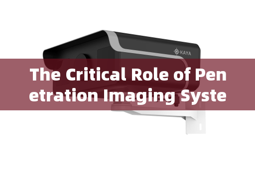 The Critical Role of Penetration Imaging Systems in Border Interception of Illegal Immigrants