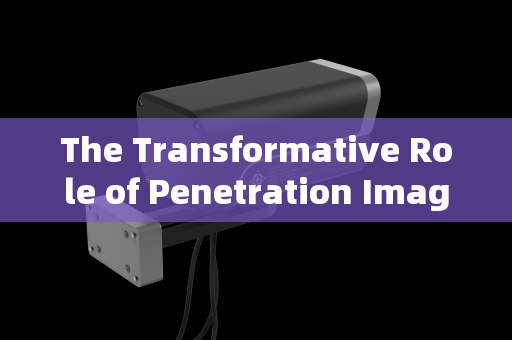 The Transformative Role of Penetration Imaging Systems in Screening High-Risk Criminals