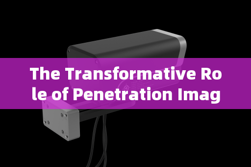 The Transformative Role of Penetration Imaging Systems in Screening High-Risk Criminals