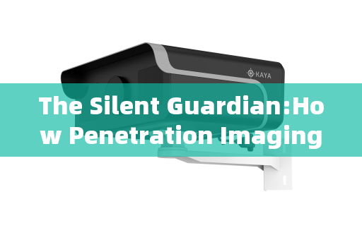 The Silent Guardian:How Penetration Imaging Systems Redefine Vehicle Security for Major Events