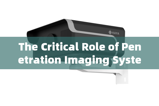 The Critical Role of Penetration Imaging Systems in Dignitary Security Supervision