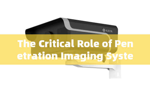 The Critical Role of Penetration Imaging Systems in Dignitary Security Supervision