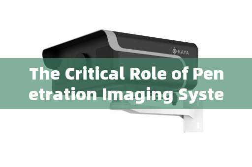 The Critical Role of Penetration Imaging Systems in Dignitary Security Supervision