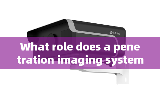 What role does a penetration imaging system play in vehicle and personnel security inspections at airport ports?
