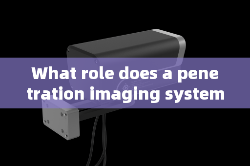 What role does a penetration imaging system play in vehicle security checks for major events? What role does a penetration imaging system play in vehicle security checks for major events?