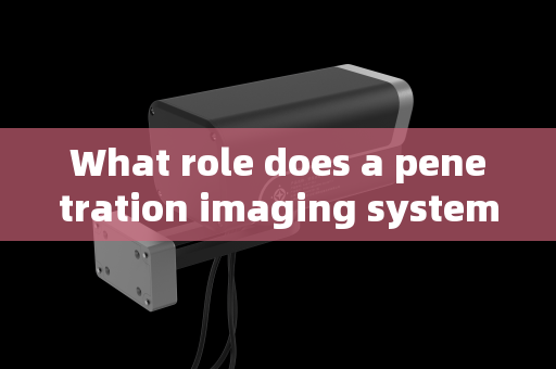 What role does a penetration imaging system play in vehicle security checks for major events? What role does a penetration imaging system play in vehicle security checks for major events?