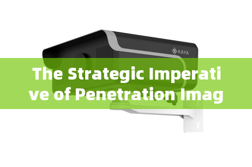The Strategic Imperative of Penetration Imaging Systems in Modern Park Checkpoint Security