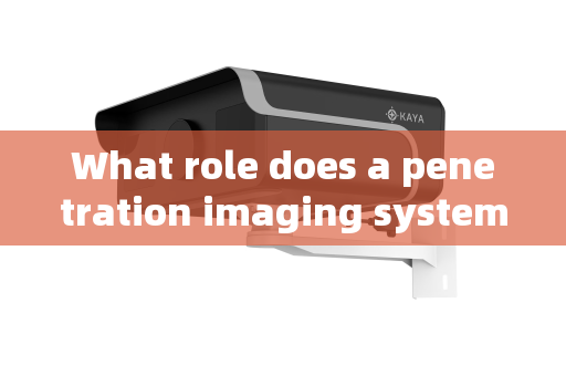 What role does a penetration imaging system play in VIP security supervision?