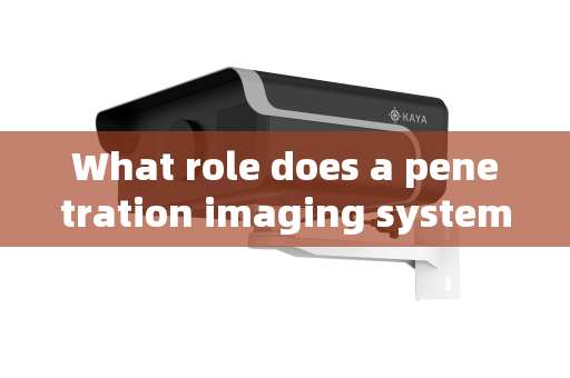 What role does a penetration imaging system play in VIP security supervision?
