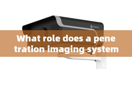 What role does a penetration imaging system play in dignitary security supervision?