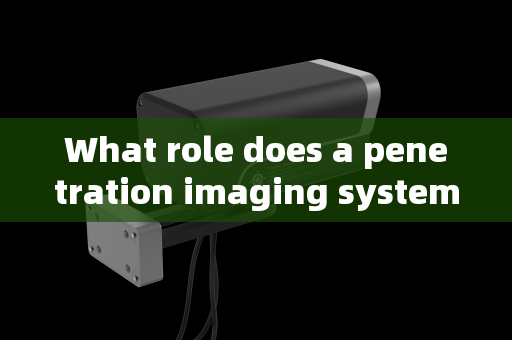 What role does a penetration imaging system play in dignitary security supervision?