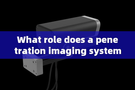 What role does a penetration imaging system play in dignitary security supervision?