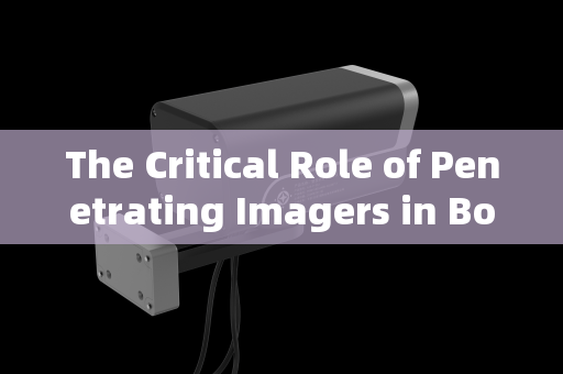 The Critical Role of Penetrating Imagers in Border Interception of Illegal Immigrants The Critical Role of Penetrating Imagers in Border Interception of Illegal Immigrants