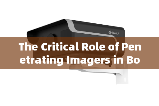 The Critical Role of Penetrating Imagers in Border Interception of Illegal Immigrants