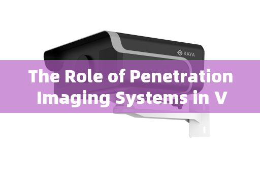 The Role of Penetration Imaging Systems in VIP Security Supervision