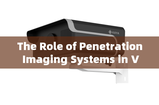 The Role of Penetration Imaging Systems in VIP Security Supervision