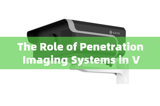The Role of Penetration Imaging Systems in VIP Security Supervision
