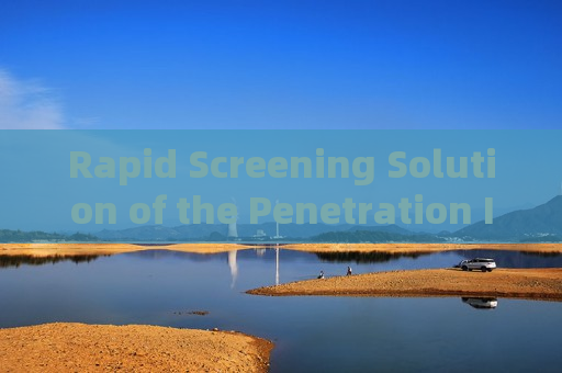 Rapid Screening Solution of the Penetration Imager for High-Reflective Mirror-Film Vehicles with Through-Tint Imaging