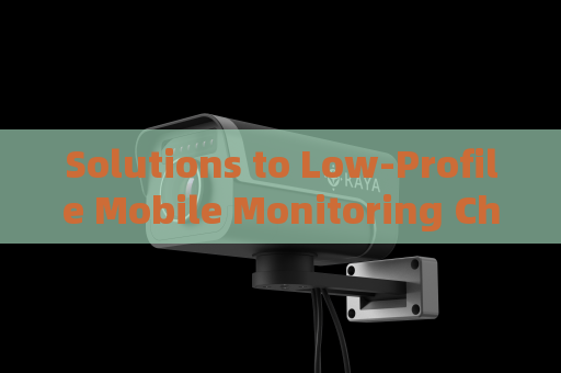 Solutions to Low-Profile Mobile Monitoring Challenges for Trespassers in Foggy Environments with Fog Penetration Imaging