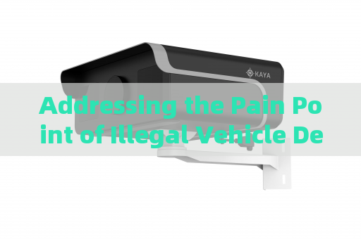 Addressing the Pain Point of Illegal Vehicle Detection in Total Darkness with Zero-Light Imaging