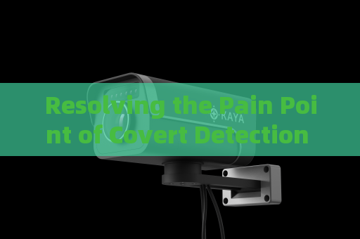Resolving the Pain Point of Covert Detection for Illegal Vessel Activities