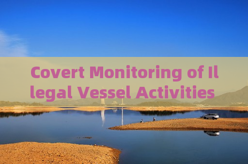 Covert Monitoring of Illegal Vessel Activities by the Penetration Imager