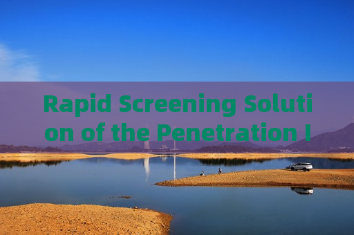 Rapid Screening Solution of the Penetration Imager for High-Reflective Mirror-Film Vehicles with Through-Tint Imaging