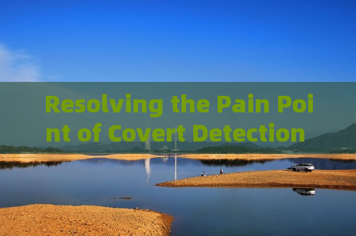 Resolving the Pain Point of Covert Detection for Illegal Vessel Activities