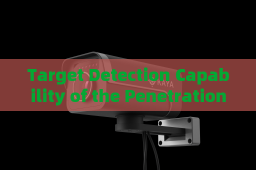 Target Detection Capability of the Penetration Imager with Fog Penetration Imaging When Severe Weather Conceals Suspicious Activities