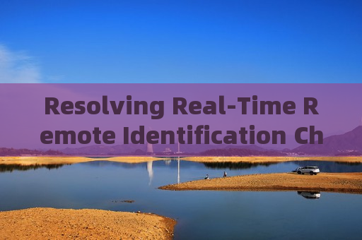 Resolving Real-Time Remote Identification Challenges for Occupants in Fleeing Vehicles