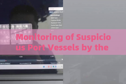 Monitoring of Suspicious Port Vessels by the Penetration Imager in Strong Backlight Overexposure Conditions with Strong Light Suppression Imaging