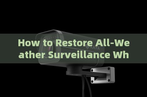 How to Restore All-Weather Surveillance When Checkpoints Fail in Severe Weather