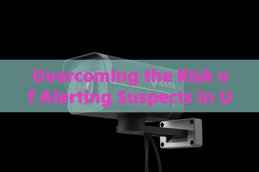 Overcoming the Risk of Alerting Suspects in Ultra-Long-Range Covert Reconnaissance