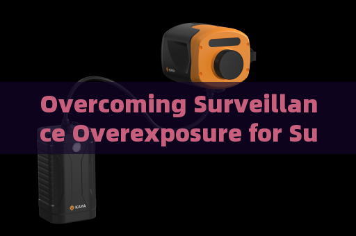 Overcoming Surveillance Overexposure for Suspicious Vessels Under Severe Port Backlight with Strong Light Suppression Imaging
