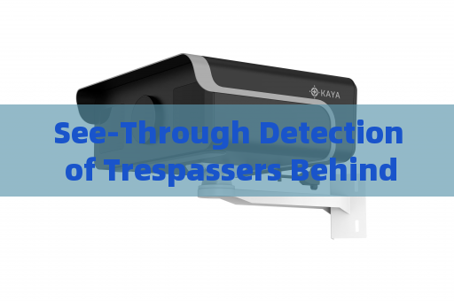See-Through Detection of Trespassers Behind Sand Walls by the Penetration Imager in Zero-Visibility Border Conditions