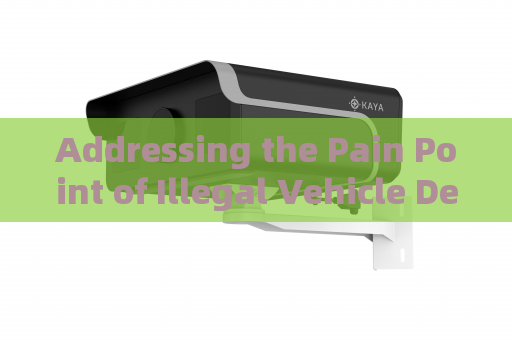 Addressing the Pain Point of Illegal Vehicle Detection in Total Darkness with Zero-Light Imaging