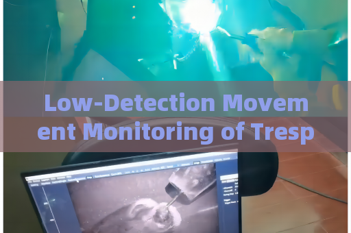 Low-Detection Movement Monitoring of Trespassers by the Penetration Imager with Fog Penetration Imaging in Foggy Conditions