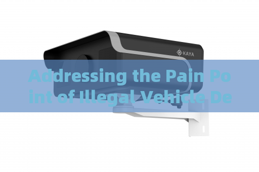 Addressing the Pain Point of Illegal Vehicle Detection in Total Darkness with Zero-Light Imaging