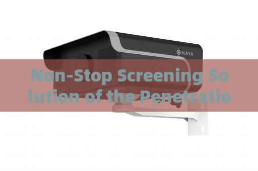 Non-Stop Screening Solution of the Penetration Imager with Through-Window Imaging for Rapid Vehicle Inspection in Bonded Zones