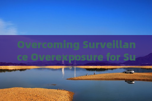 Overcoming Surveillance Overexposure for Suspicious Vessels Under Severe Port Backlight with Strong Light Suppression Imaging