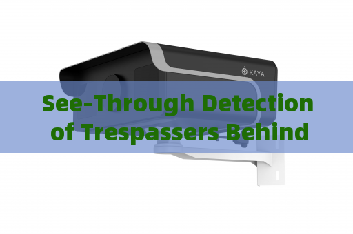 See-Through Detection of Trespassers Behind Sand Walls by the Penetration Imager in Zero-Visibility Border Conditions