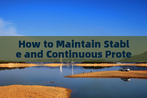 How to Maintain Stable and Continuous Protective Border Surveillance in Severe Weather