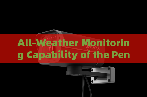 All-Weather Monitoring Capability of the Penetration Imager with All-Weather Penetration Technology When Severe Weather Disables Checkpoints