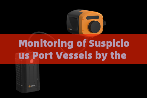 Monitoring of Suspicious Port Vessels by the Penetration Imager in Strong Backlight Overexposure Conditions with Strong Light Suppression Imaging